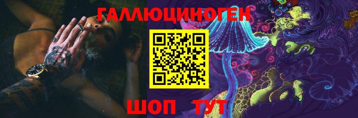 Псилоцибиновые грибы Psilocybe Пугачёв